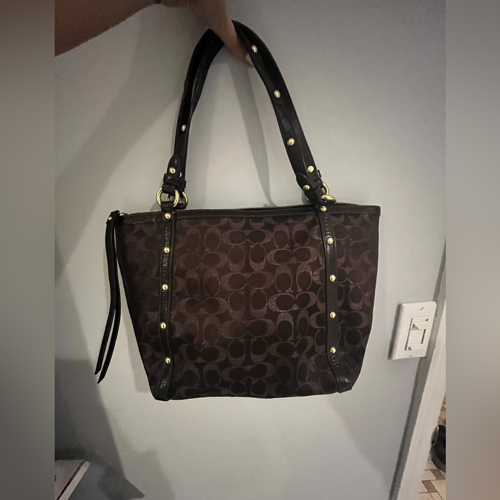 COACH should bag brown and glittery